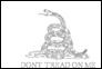 Gadsden (USA ok. 1775) – flaga do kolorowania