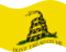 Falująca Gadsden (USA ok. 1775) flaga statyczna