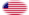 Star-Spangled Banner (USA 1795-1818)-Flaga jako winieta owalna