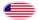 Star-Spangled Banner (USA 1795-1818)-Flaga jako winieta owalna