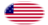 Star-Spangled Banner (USA 1795-1818)-Flaga jako winieta owalna