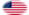 USA 37 gwiazd (1867-1877)-Flaga jako winieta owalna