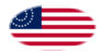 USA 37 gwiazd (1867-1877)-Flaga jako winieta owalna