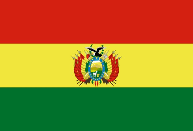 Flaga Boliwia, Flaga Boliwia