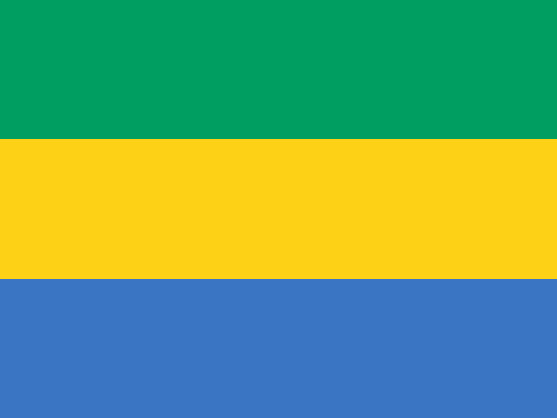 Flaga Gabon, Flaga Gabon
