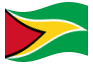 Animowana flaga Gujana
