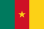 Grafika flagi Kamerun