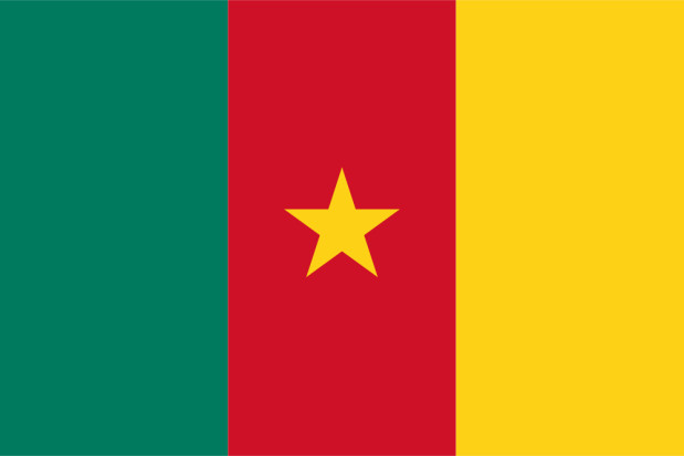 Flaga Kamerun
