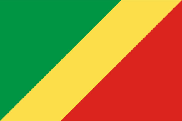 Flaga Kongo (Republika Konga)
