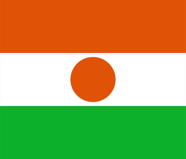 Flaga Niger, Flaga Niger
