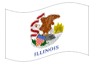 Animowana flaga Illinois