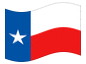 Animowana flaga Teksas