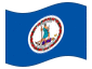 Animowana flaga Virginia