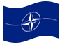 Animowana flaga NATO (Organizacja Traktatu Północnoatlantyckiego)