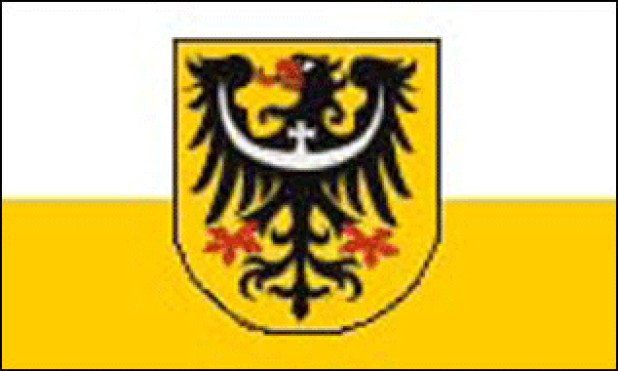 Flaga Dolny Śląsk, Flaga Dolny Śląsk