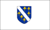Grafika flagi Bośnia i Hercegowina (1992)