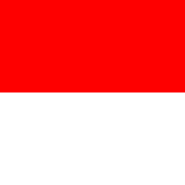 Flaga Solothurn, Flaga Solothurn