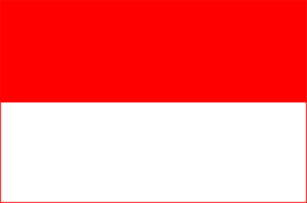Flaga Salzburg (prowincja), Flaga Salzburg (prowincja)