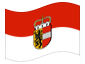Animowana flaga Salzburg (flaga służbowa)