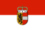 Grafika flagi Salzburg (flaga służbowa)