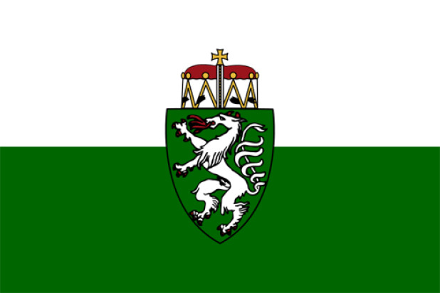 Flaga Styria (flaga służbowa)