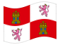Animowana flaga Kastylia-León