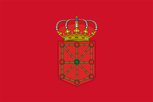 Flaga Navarra, Flaga Navarra