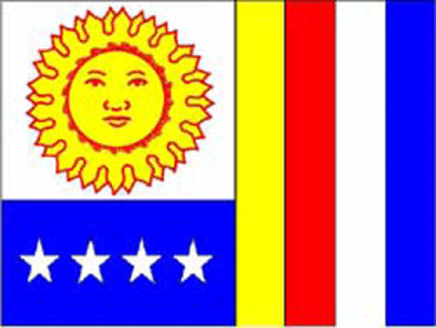 Flaga Vargas, Flaga Vargas