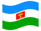 Animowana flaga Barinas