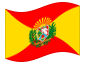 Animowana flaga Aragua