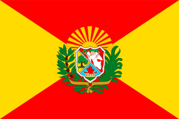 Flaga Aragua, Flaga Aragua