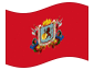 Animowana flaga Caracas