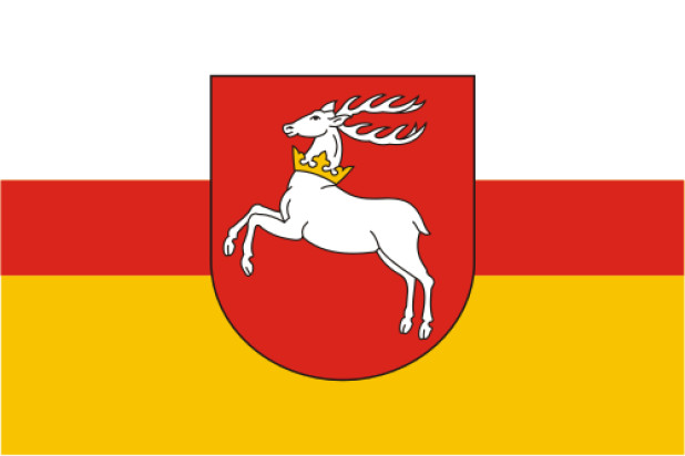 Flaga Lublin (Lubelskie)
