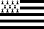 Grafika flagi Brittany