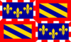 Grafika flagi Burgundia (Bourgogne)