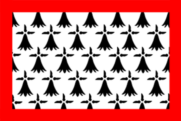 Flaga Limousin