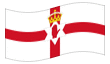 Animowana flaga Irlandia Północna