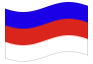Animowana flaga Serbołużyczanie ("Serbja, Serby, Wenden")