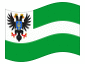 Animowana flaga Czernihów