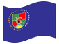 Animowana flaga Ługańsk