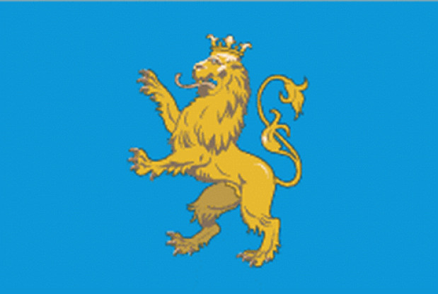 Flaga Lwów, Flaga Lwów