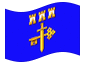 Animowana flaga Ternopil