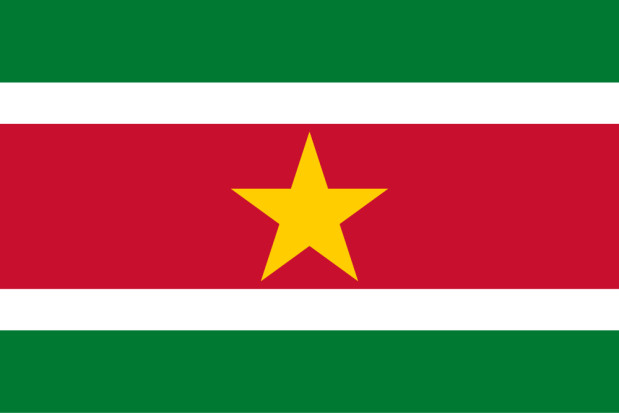 Flaga Surinam, Flaga Surinam