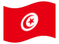 Animowana flaga Tunezja