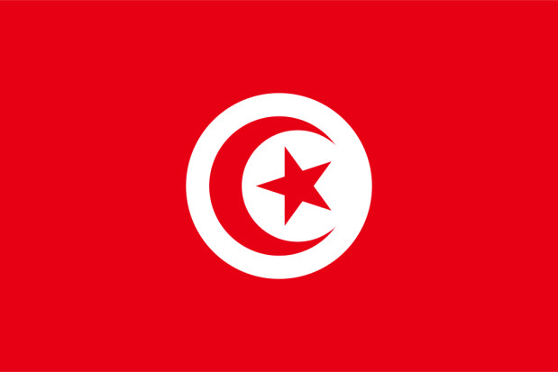 Flaga Tunezja, Flaga Tunezja