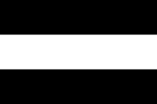 Flaga Prusy Zachodnie (prowincja pruska)